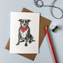 Staffordshire Bull Terrier In A Scarf Greetings Card, thumbnail 1 of 2