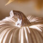 White And Gold Pumpkin Decoration, thumbnail 4 of 4