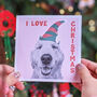 Christmas Pets Dogs And Cats Card Pack, thumbnail 8 of 9