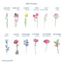 Personalised Birth Flower Font Square Planter, thumbnail 2 of 2