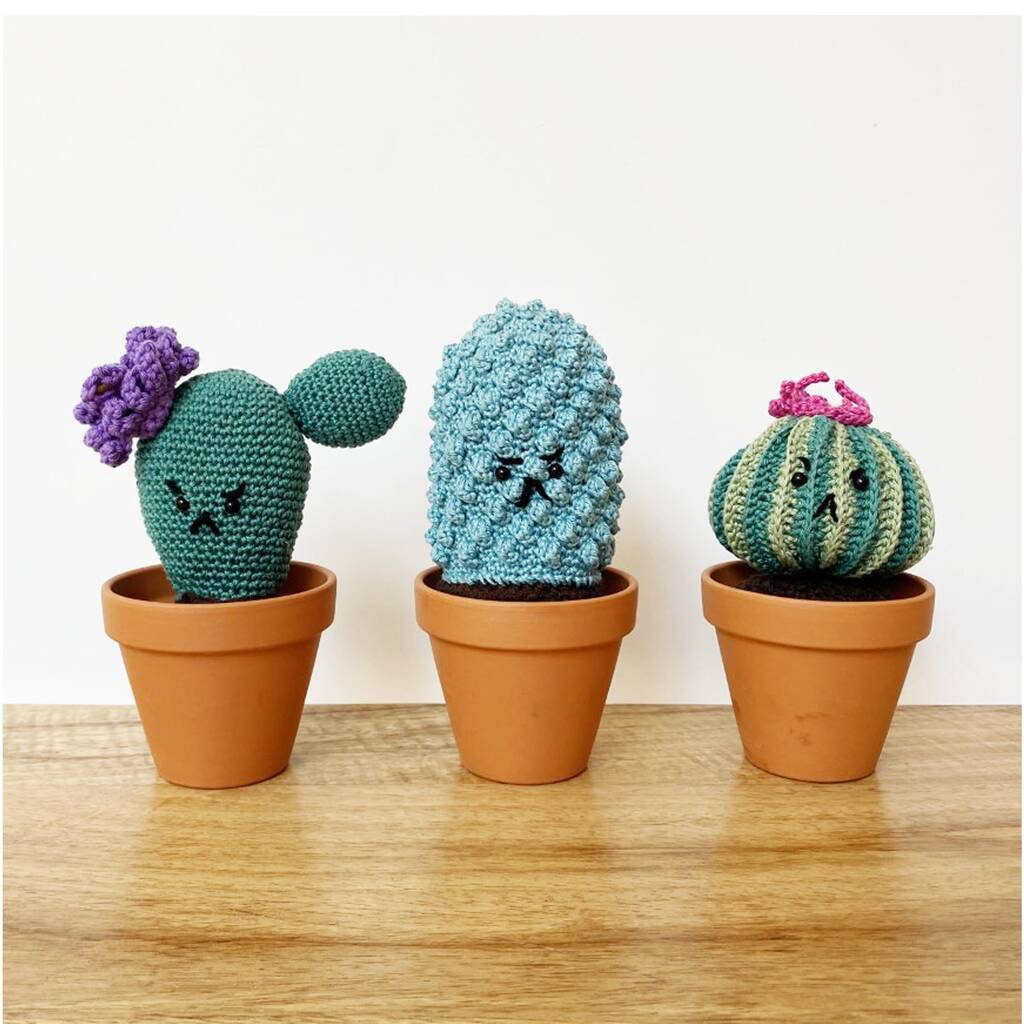 Personalised Cotton Crochet Cranky Cactus Plant, 1 of 5