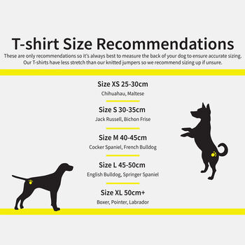 'The Proposal' Matching Owner Dog T Shirt Set, 3 of 4