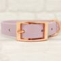 Waterproof Dog Collar And Lead Set Lilac, thumbnail 2 of 3