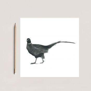 Cetus The Pheasant Luxury Greeting Card, 3 of 3