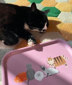 All The Cats Small Wooden Tray, 4 of 7