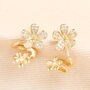 Crystal Twin Flower Stud Earrings In Gold Plating, thumbnail 1 of 2