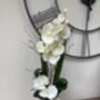 Cream Artificial Silk Orchid Luxury Flower Arrangement Mothers Day Gift, thumbnail 5 of 6