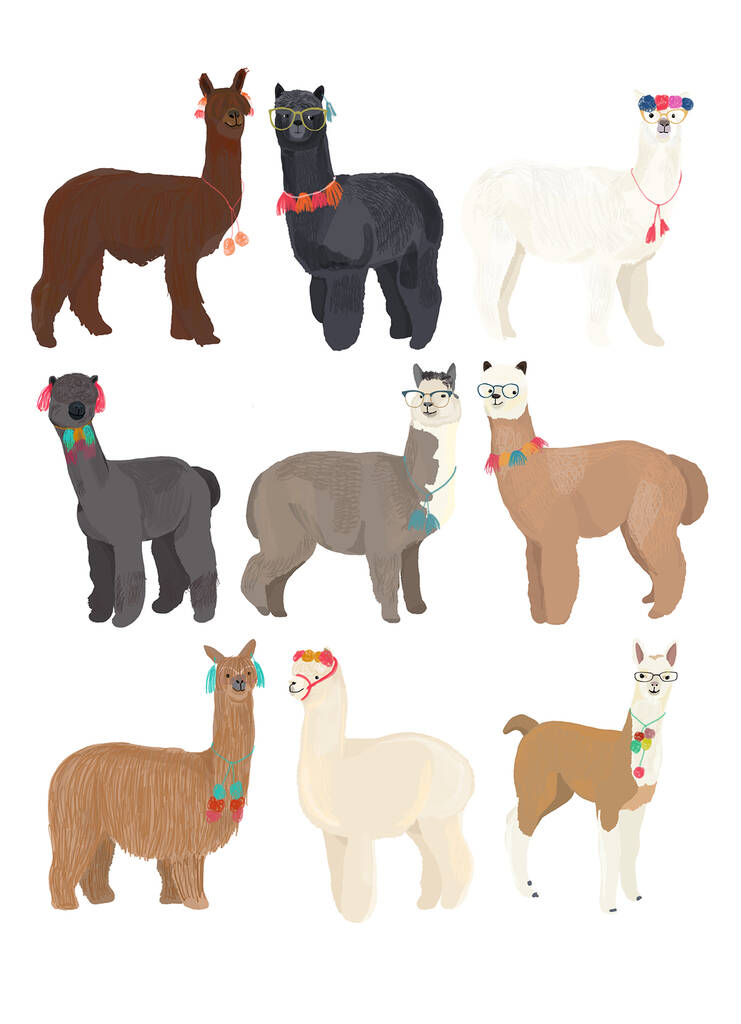 Standing Llamas And Alpacas In Glasses By Hanna Melin ...