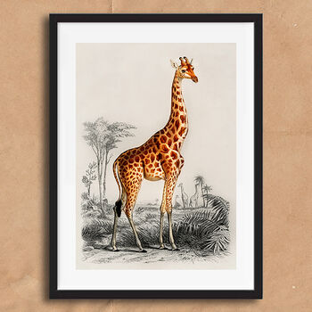 Vintage Giraffe Illustration Wall Art Print, 4 of 6