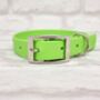Waterproof Dog Collar And Lead Set Apple Green, thumbnail 2 of 3