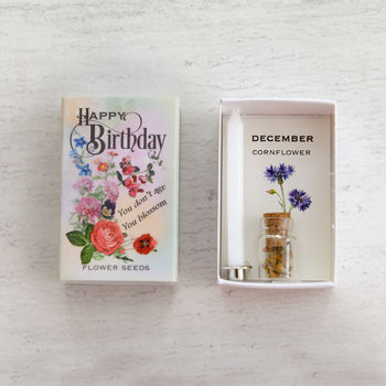 December Birth Flower Seeds And Birthday Candle Gift, 3 of 8