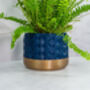 Midnight Hexa Planter, thumbnail 4 of 4