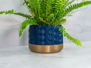 Midnight Hexa Planter, 4 of 4
