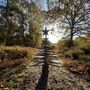 Eco Friendly Wooden Christmas Tree 3ft, thumbnail 2 of 3