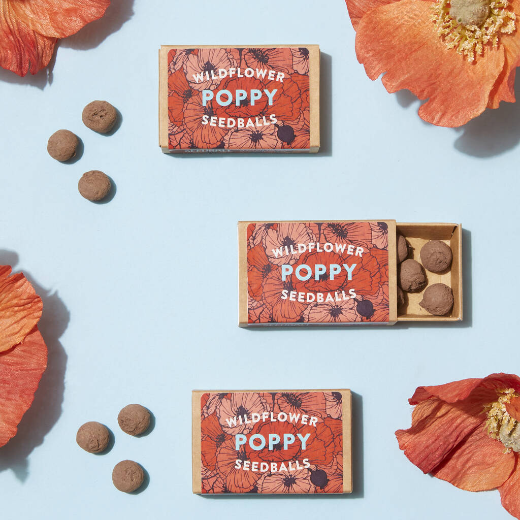 Wildflower Poppy Seed Boxes, 1 of 7