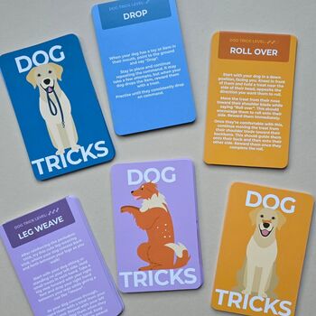100 Dog Tricks Cards, 3 of 4
