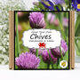Gardening Gift. Chives Herbs Growing Kit, thumbnail 1 of 6