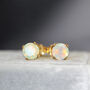 Opal Stud Earrings, thumbnail 2 of 12