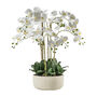 White Orchid In Stone Pot, thumbnail 1 of 2