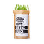 Grow Your Own Wheatgrass Detox Juice, thumbnail 2 of 3