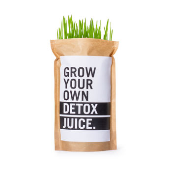 Grow Your Own Wheatgrass Detox Juice, 2 of 3