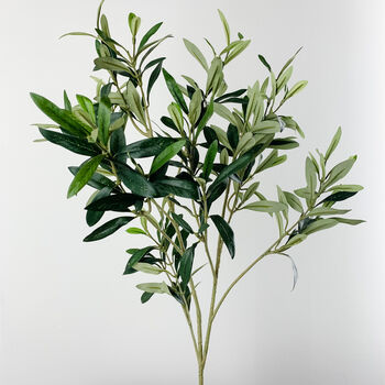 Faux Olive Tree Branch, 3 of 3