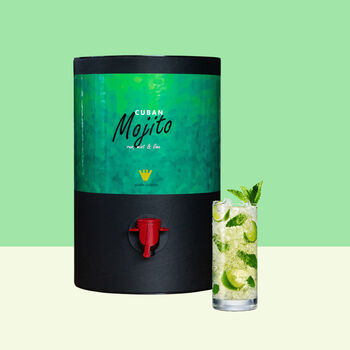 Mojito Premium Cocktail Gift, 2 of 4
