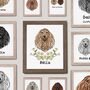 Personalised Afghan Hound Portrait Print For Dog Owner, thumbnail 4 of 10