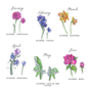Personalised Family Birth Month Flower Cushion, thumbnail 3 of 7