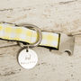The Hampstead Yellow Dog Collar Bow Tie And Lead Set, thumbnail 3 of 6