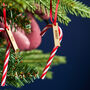 Personalised Christmas Candy Cane Decoration, thumbnail 2 of 6