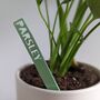 Personalized Plant Marker Garden Laser Acrylic Outdoor, thumbnail 1 of 10