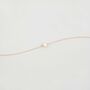 Freshwater Pearl Necklace, thumbnail 6 of 12