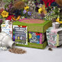 Great British Bloomers Seedbom Gift Box, thumbnail 1 of 7
