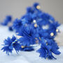 Cornflower Fairy Lights, thumbnail 1 of 8