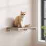 Cat Shelf Wall Mounted Replaceable Cat Wall Furniture, thumbnail 1 of 7