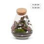 Closed Terrarium Kit With Glass Plants And More | Cuba, thumbnail 2 of 8