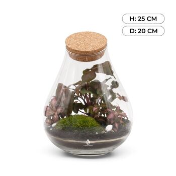 Closed Terrarium Kit With Glass Plants And More | Cuba, 2 of 8