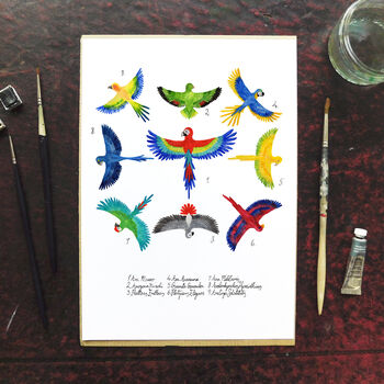 Psittacidae Parrot A4 Art Print, 2 of 8