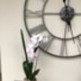 White Artificial Silk Orchid Grey Pot Mothers Day Gift, thumbnail 6 of 6