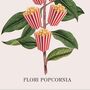 Popcorn Movie Poster Botanical Print, thumbnail 3 of 11