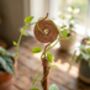 Copper Spiral Plant Support Stake, thumbnail 9 of 9