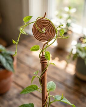 Copper Spiral Plant Support Stake, 9 of 9