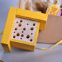 Mini Bee House Gift Set, thumbnail 2 of 6