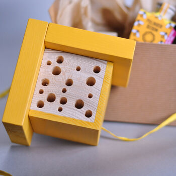 Mini Bee House Gift Set, 2 of 6
