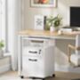 Filing Cabinet On Wheels With Two Lockable Drawers, thumbnail 3 of 9