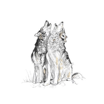 Grey Wolves Giclée Art Print By Kathryn Pow Art