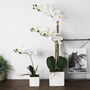 Marble Potted Artificial Orchid Two Sizes, thumbnail 1 of 5