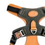 Black Leather Dog Harness, thumbnail 2 of 5