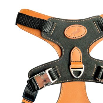 Black Leather Dog Harness, 2 of 5